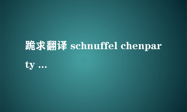 跪求翻译 schnuffel chenparty 中文是什么意思 还有这首歌是谁唱的