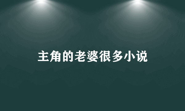 主角的老婆很多小说