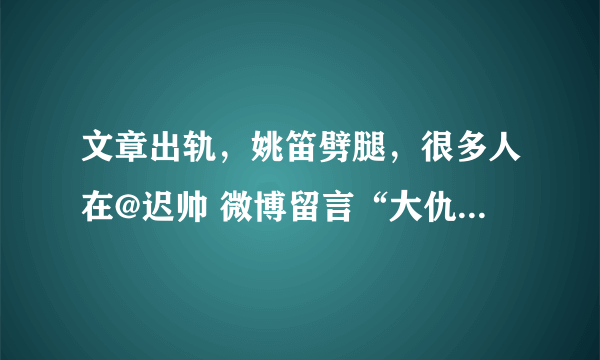 文章出轨，姚笛劈腿，很多人在@迟帅 微博留言“大仇已报”是什么意思？