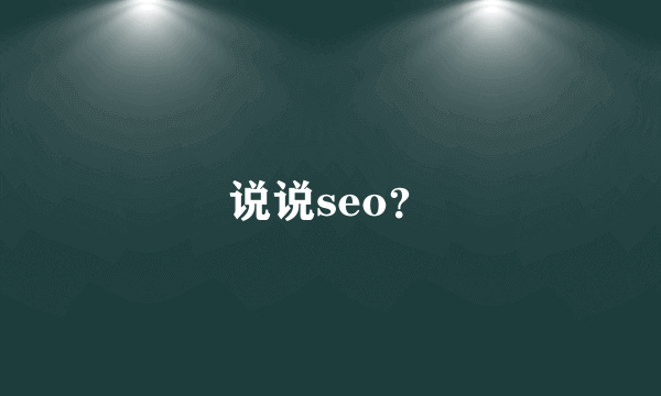 说说seo？