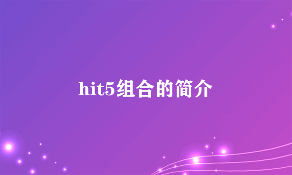 hit5组合的简介