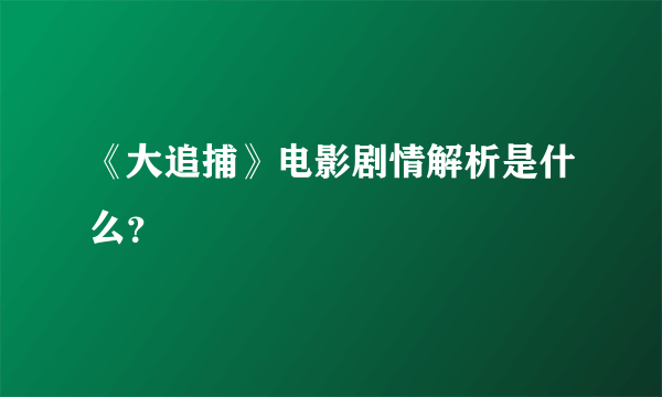 《大追捕》电影剧情解析是什么？