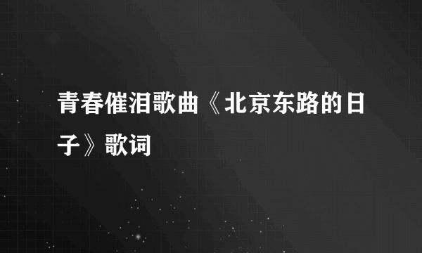 青春催泪歌曲《北京东路的日子》歌词