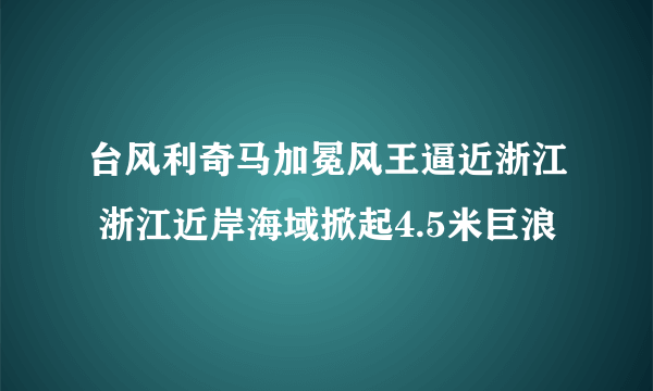 台风利奇马加冕风王逼近浙江 浙江近岸海域掀起4.5米巨浪