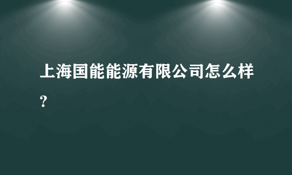 上海国能能源有限公司怎么样？