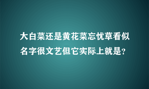 大白菜还是黄花菜忘忧草看似名字很文艺但它实际上就是？