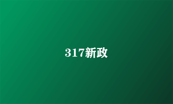 317新政