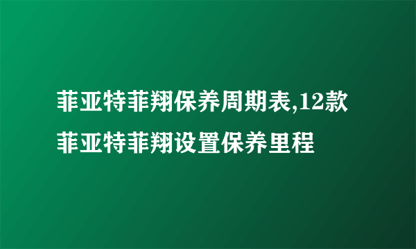 菲亚特菲翔保养周期表,12款菲亚特菲翔设置保养里程