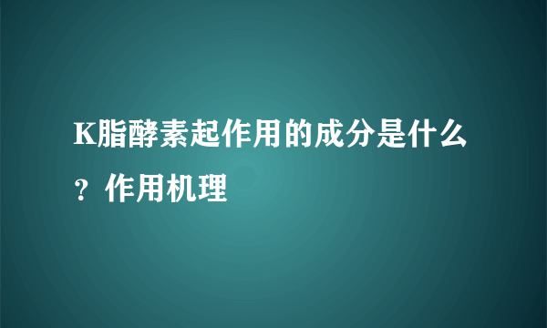 K脂酵素起作用的成分是什么？作用机理