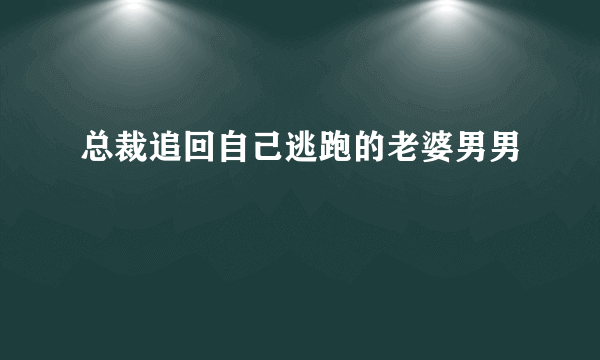 总裁追回自己逃跑的老婆男男