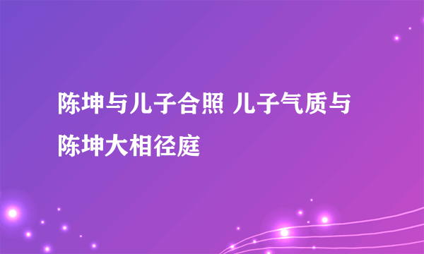 陈坤与儿子合照 儿子气质与陈坤大相径庭