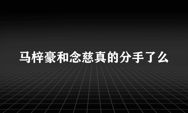 马梓豪和念慈真的分手了么