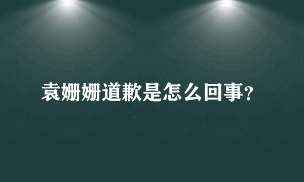 袁姗姗道歉是怎么回事？