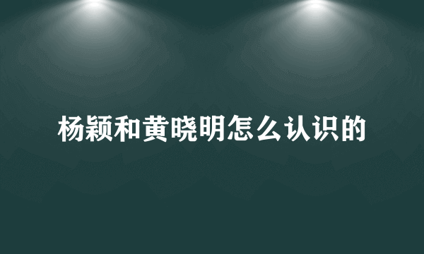 杨颖和黄晓明怎么认识的