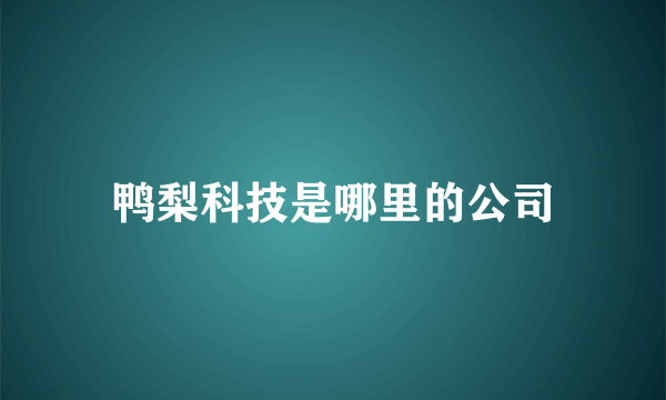 鸭梨科技是哪里的公司