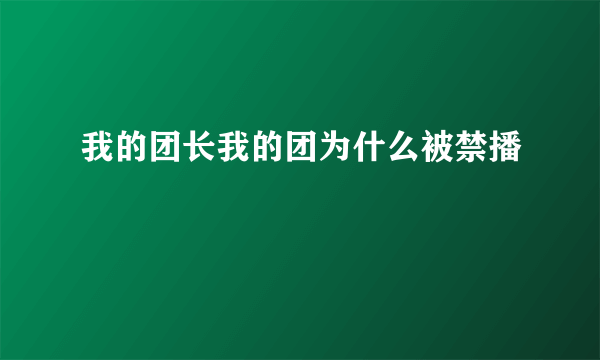 我的团长我的团为什么被禁播