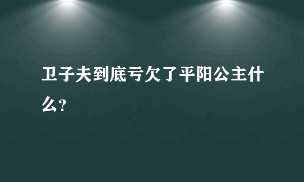 卫子夫到底亏欠了平阳公主什么？