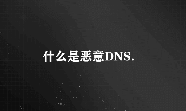 什么是恶意DNS．