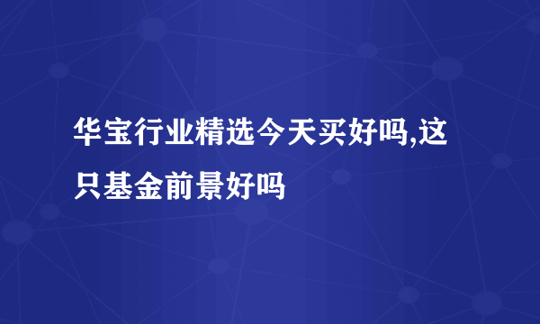 华宝行业精选今天买好吗,这只基金前景好吗