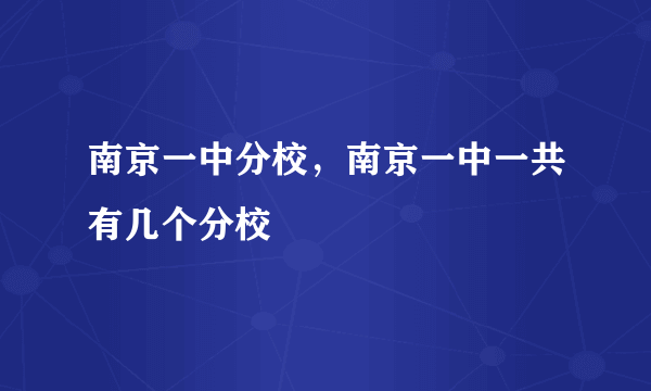 南京一中分校，南京一中一共有几个分校