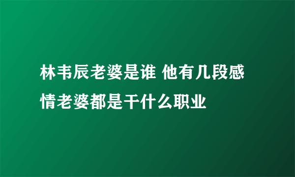 林韦辰老婆是谁 他有几段感情老婆都是干什么职业