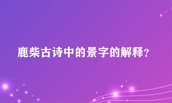 鹿柴古诗中的景字的解释？