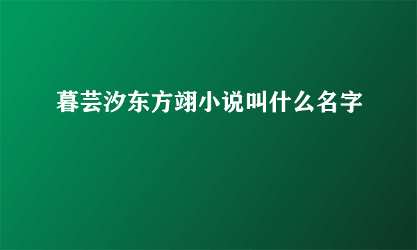 暮芸汐东方翊小说叫什么名字