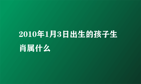 2010年1月3日出生的孩子生肖属什么