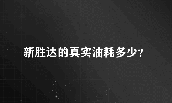 新胜达的真实油耗多少？