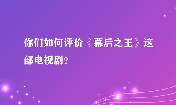 你们如何评价《幕后之王》这部电视剧？