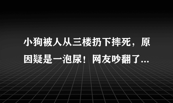 小狗被人从三楼扔下摔死，原因疑是一泡尿！网友吵翻了|狗|狗狗|小狗_飞外新闻