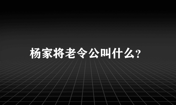 杨家将老令公叫什么？