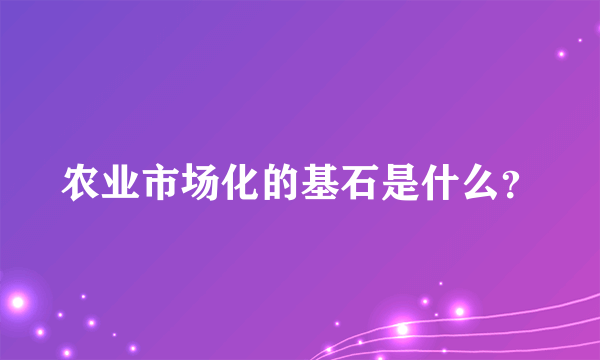 农业市场化的基石是什么？