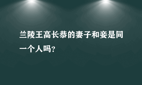 兰陵王高长恭的妻子和妾是同一个人吗？