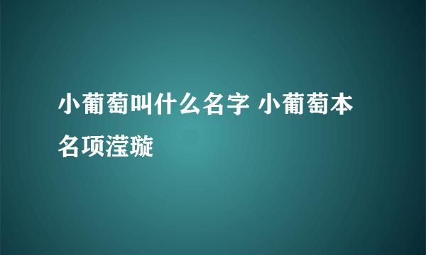 小葡萄叫什么名字 小葡萄本名项滢璇