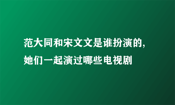 范大同和宋文文是谁扮演的,她们一起演过哪些电视剧