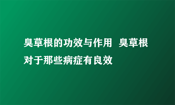 臭草根的功效与作用  臭草根对于那些病症有良效