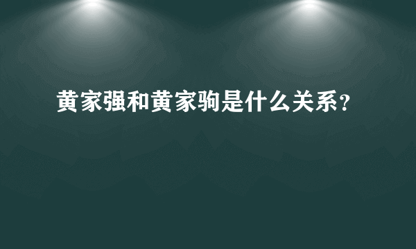 黄家强和黄家驹是什么关系？