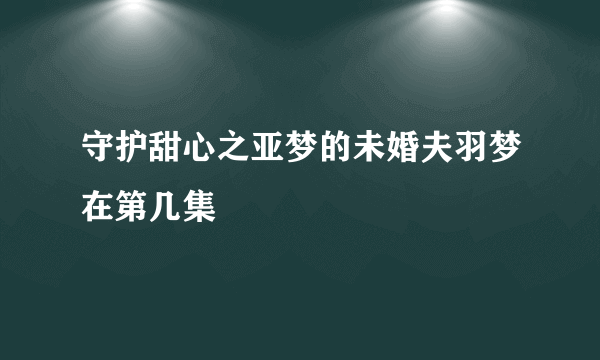 守护甜心之亚梦的未婚夫羽梦在第几集