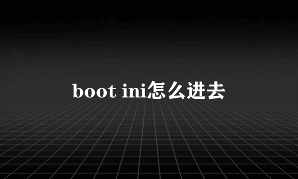 boot ini怎么进去