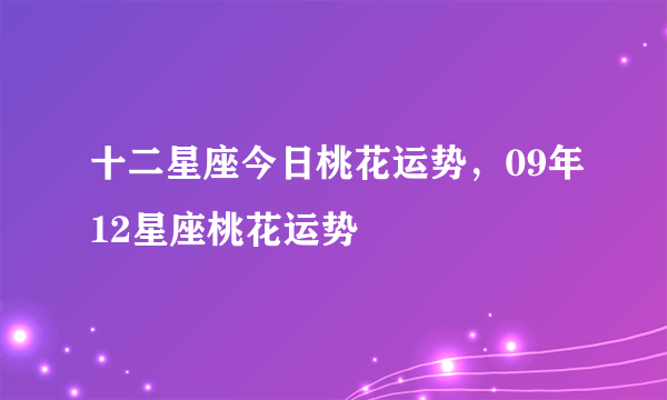 十二星座今日桃花运势，09年12星座桃花运势