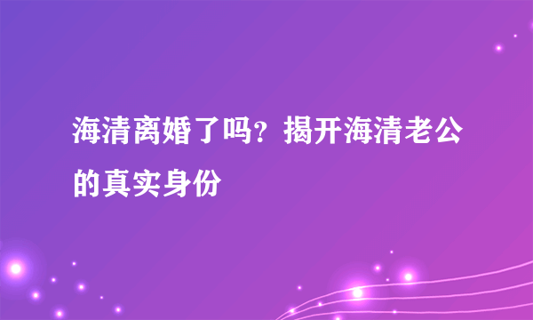 海清离婚了吗？揭开海清老公的真实身份