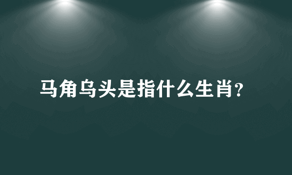 马角乌头是指什么生肖？