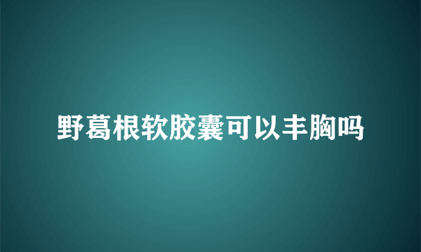 野葛根软胶囊可以丰胸吗