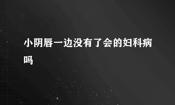 小阴唇一边没有了会的妇科病吗