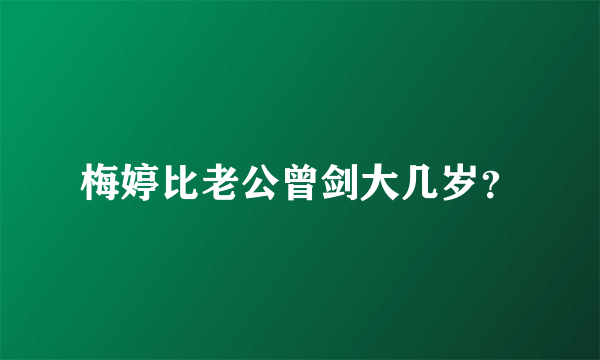 梅婷比老公曾剑大几岁？