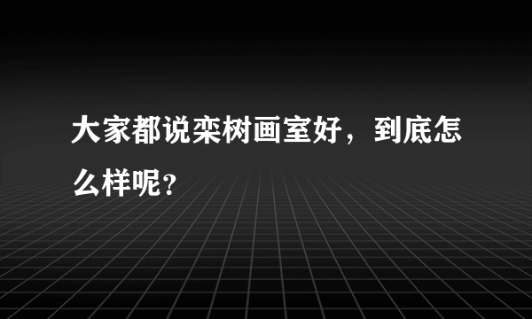 大家都说栾树画室好，到底怎么样呢？