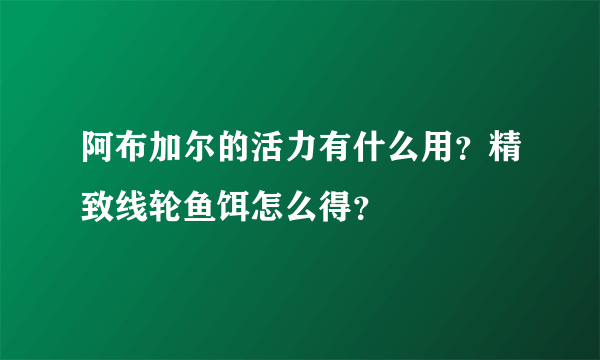 阿布加尔的活力有什么用？精致线轮鱼饵怎么得？