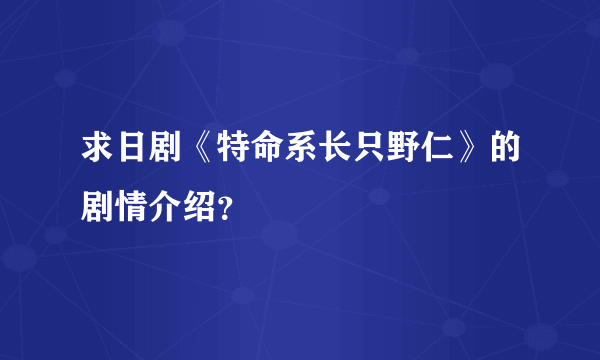 求日剧《特命系长只野仁》的剧情介绍？