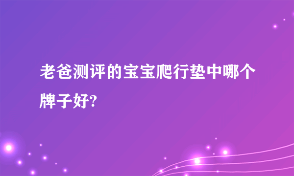 老爸测评的宝宝爬行垫中哪个牌子好?